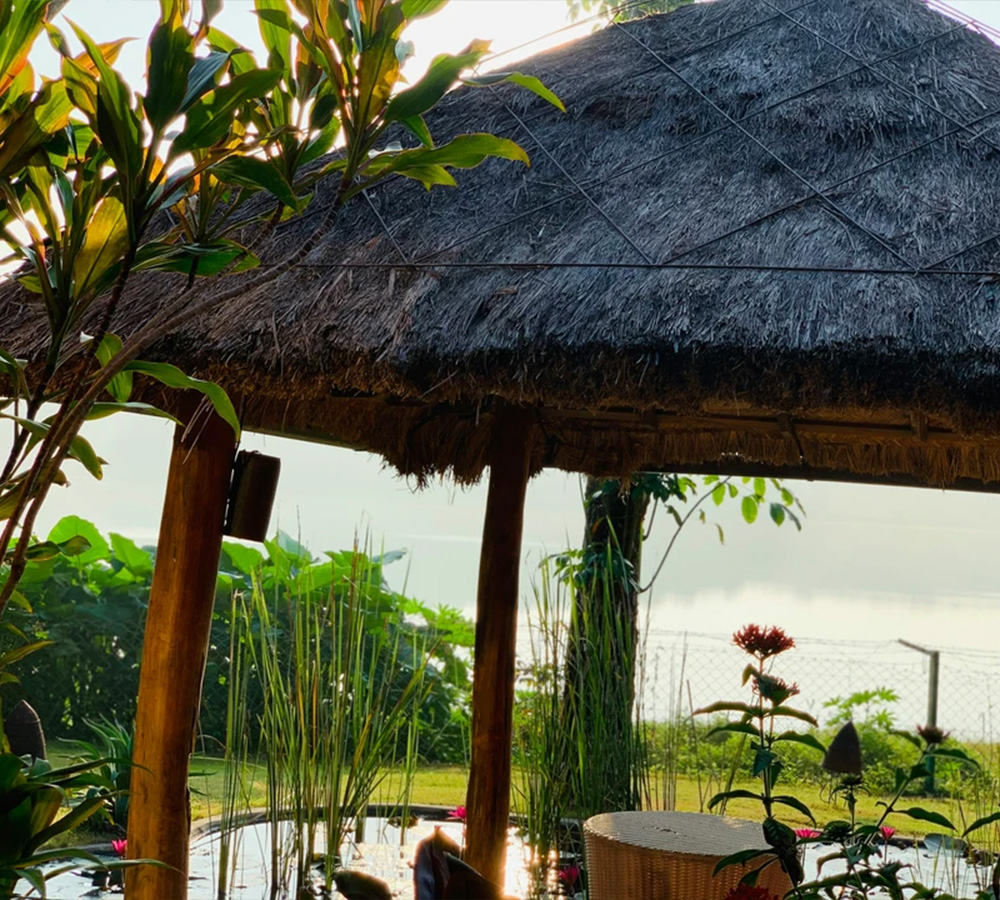 EL GADO Bar Services